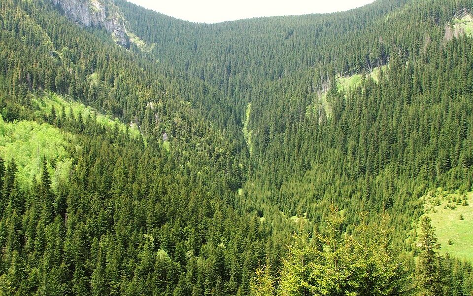 Jaskinia Nowa nad Raptawicką Granią