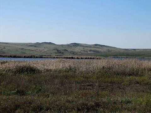 Photo: https://wikimapia.org/#lang=ru&lat=45.258939&lon=36.437531&z=12&m=w&show=/user/1891638/ kaiten11, CC BY 3.0, Wikimedia Commons