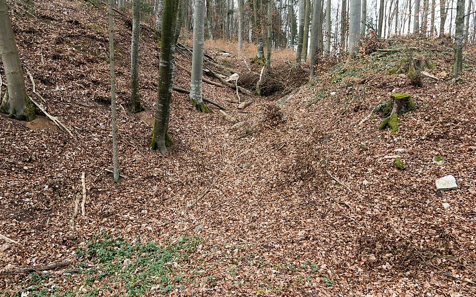 Burg Liebeneck