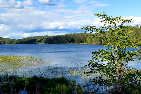 Päijänne