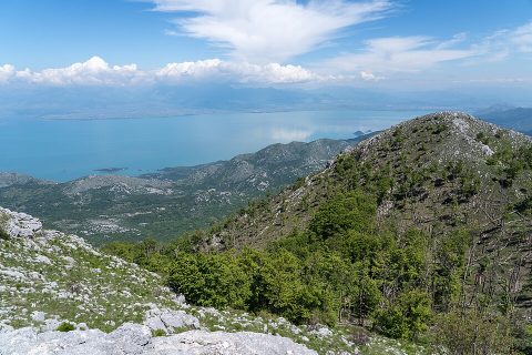 Lake Skadar