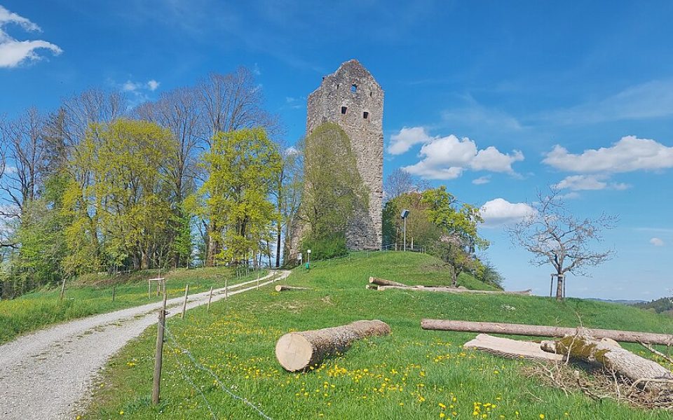 Castle Ruin Neuravensburg