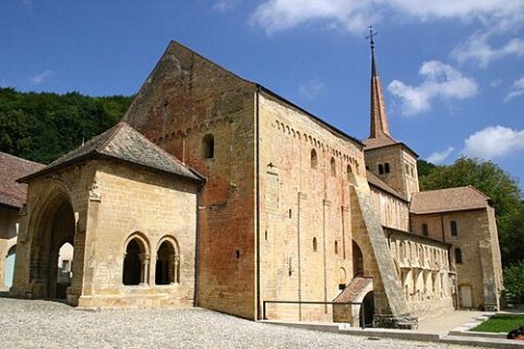 Photo: Arnaud Gaillard (arnaud () amarys.com), CC BY-SA 1.0, Wikimedia Commons
