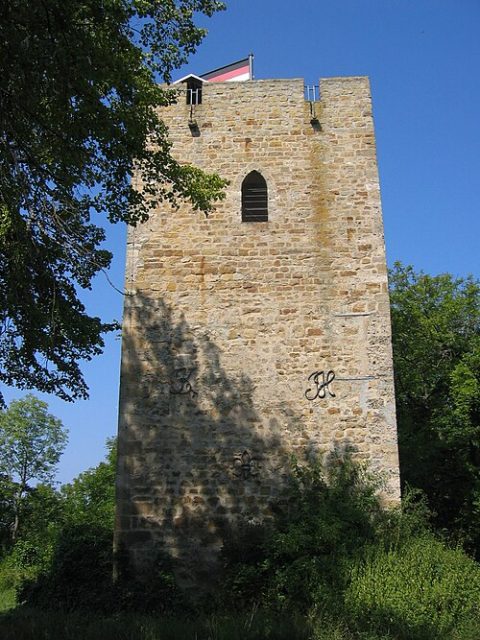 Photo: Pluriscient, Public domain, Wikimedia Commons