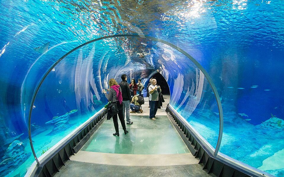 Africarium