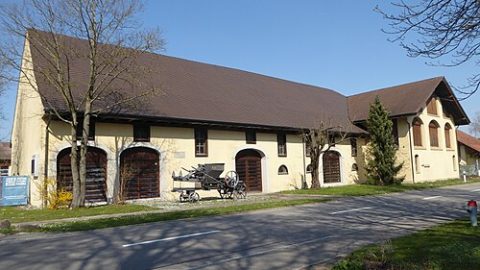 Photo: Plutowiki, CC0, Wikimedia Commons