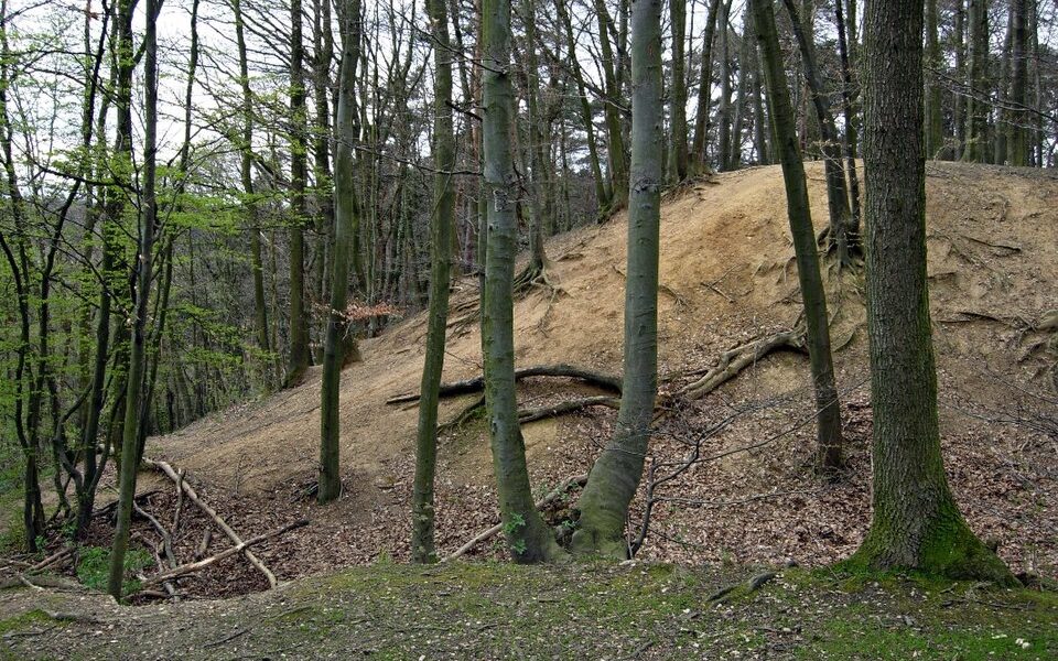 Alte Burg