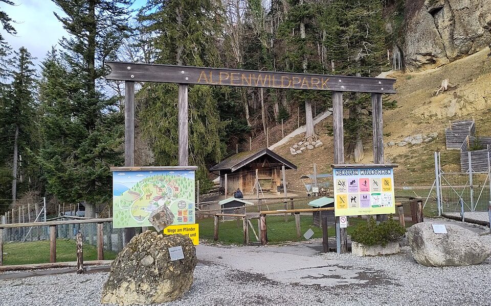 Alpine Wildlife Park Pfänder