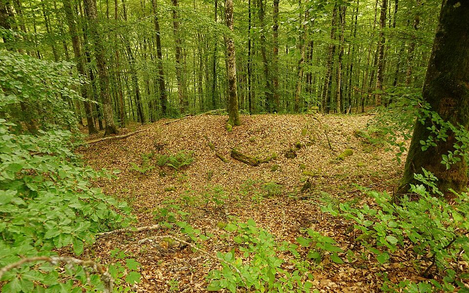 Burgreste Altfridingen