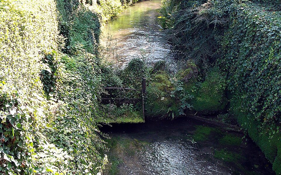 Jardin public d'Albert