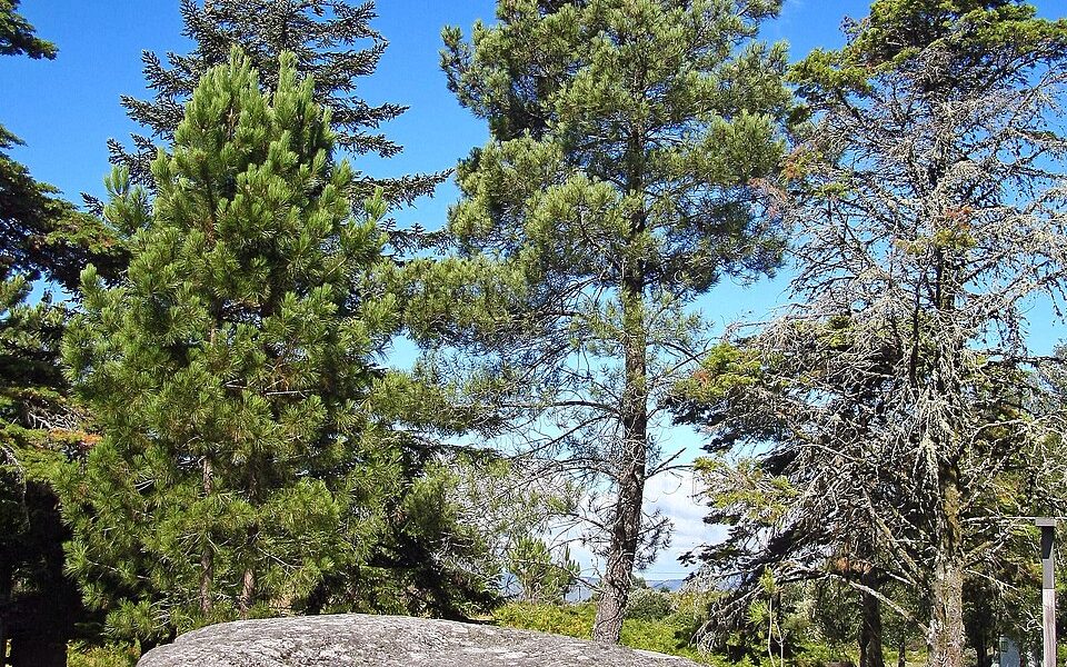 Antas da Serra de Soajo