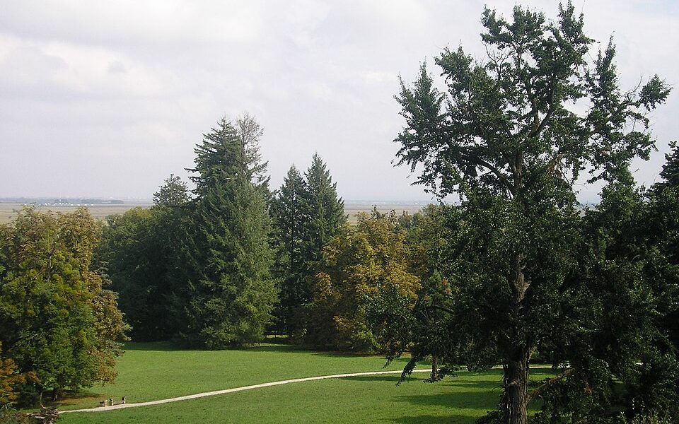Opeka Arboretum