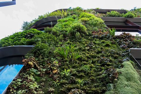 Musée du Quai Branly - Jacques Chirac