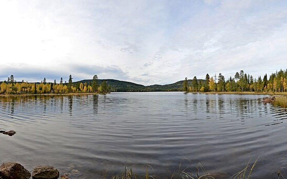 Avalsjøen
