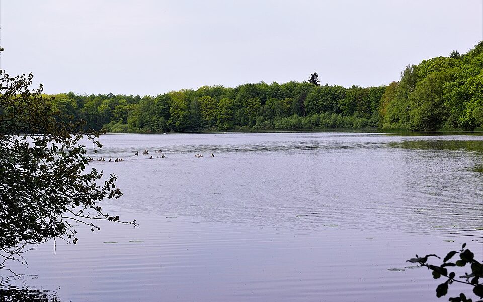 Bøgeholm Sø