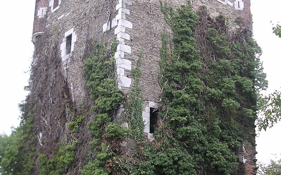 Vieux Château de Saive