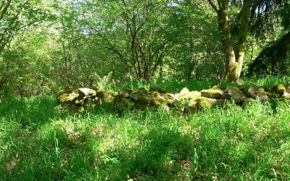 Turmburg Alt-Berneck