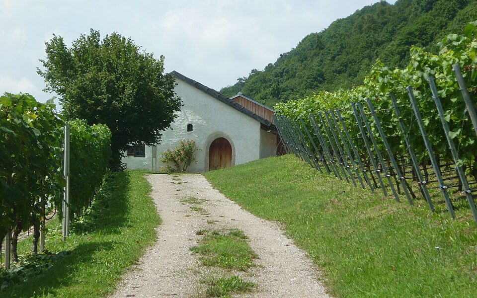 Baierwein-Museum