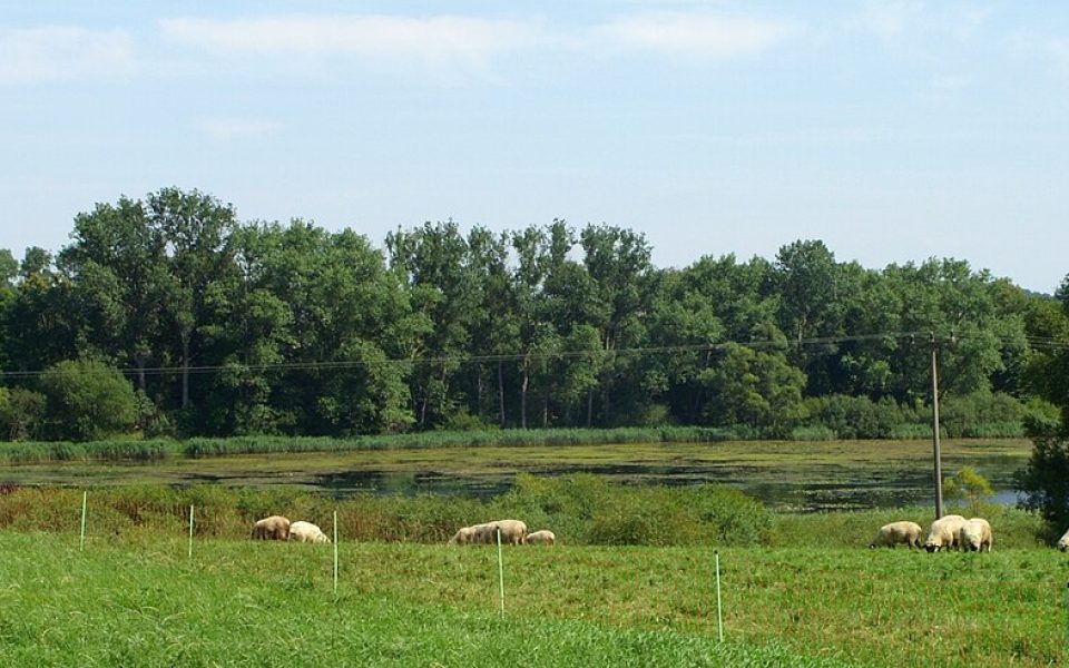 Barner Stücker See