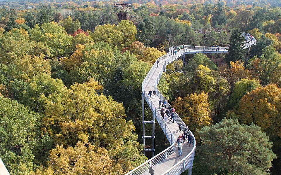 Tree-top walk Beelitz-Heilstätten
