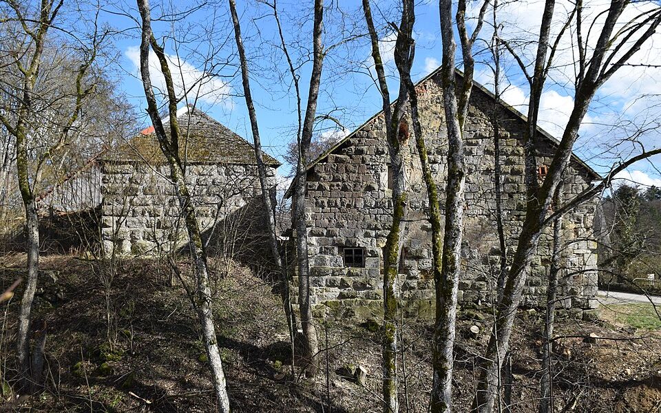 Burgruine Breitenegg