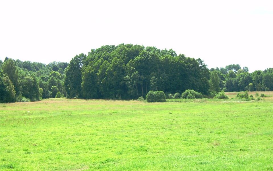 Biržų Laukas hillfort