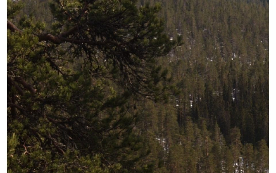 Björnlandet National Park