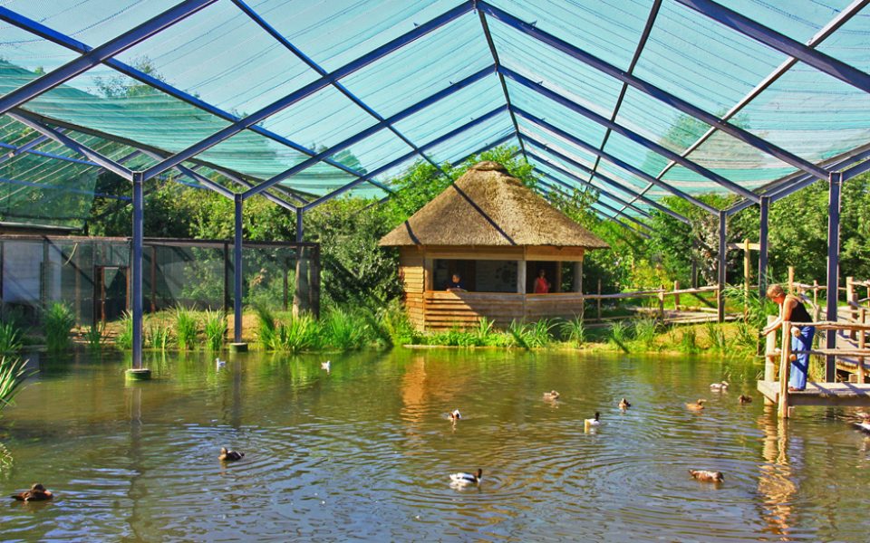 Vogelpark Marlow