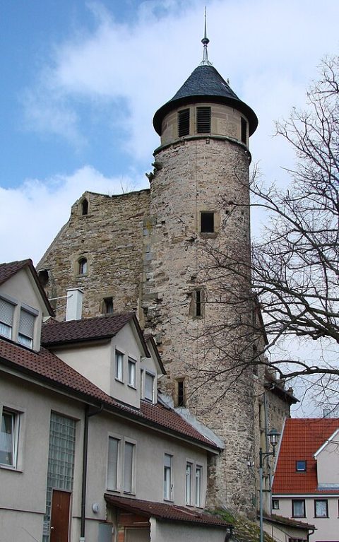 Photo: Mussklprozz, CC BY-SA 3.0, Wikimedia Commons