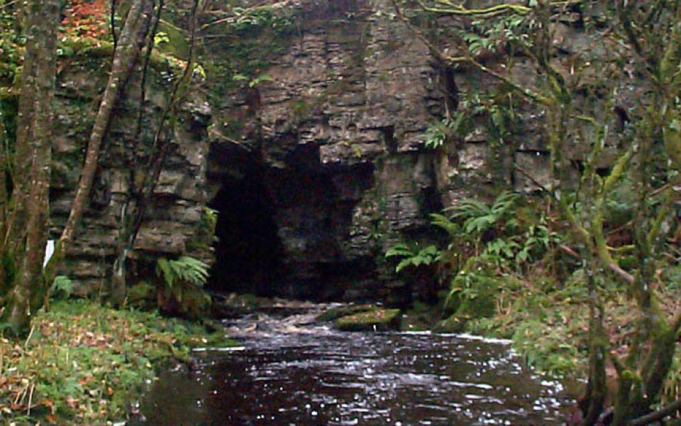 Boho Caves