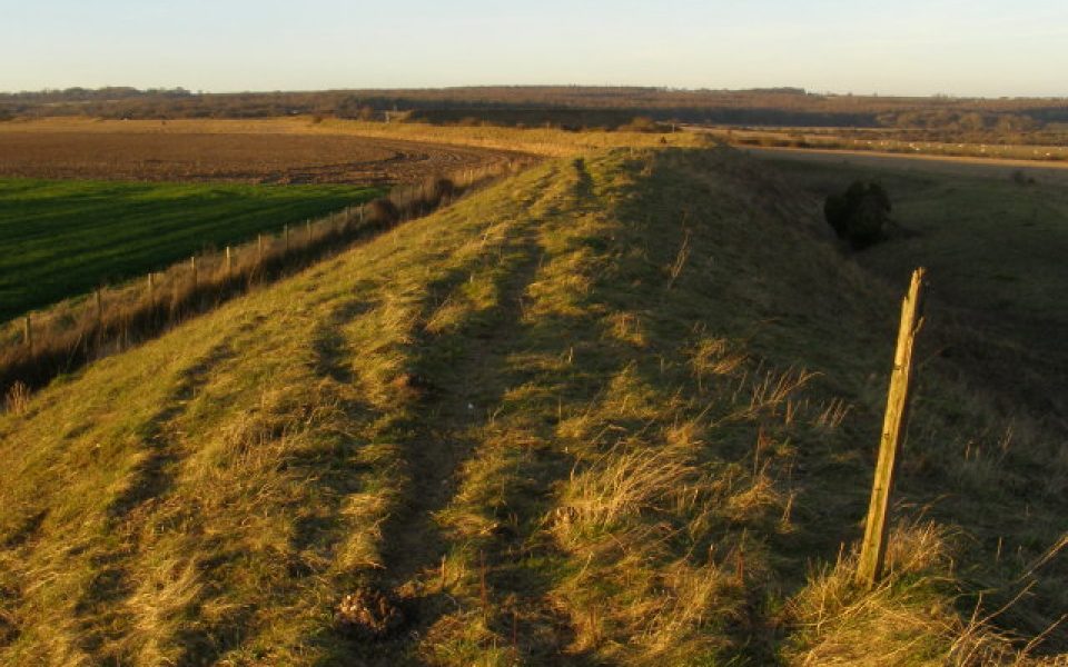 Bokerley Dyke