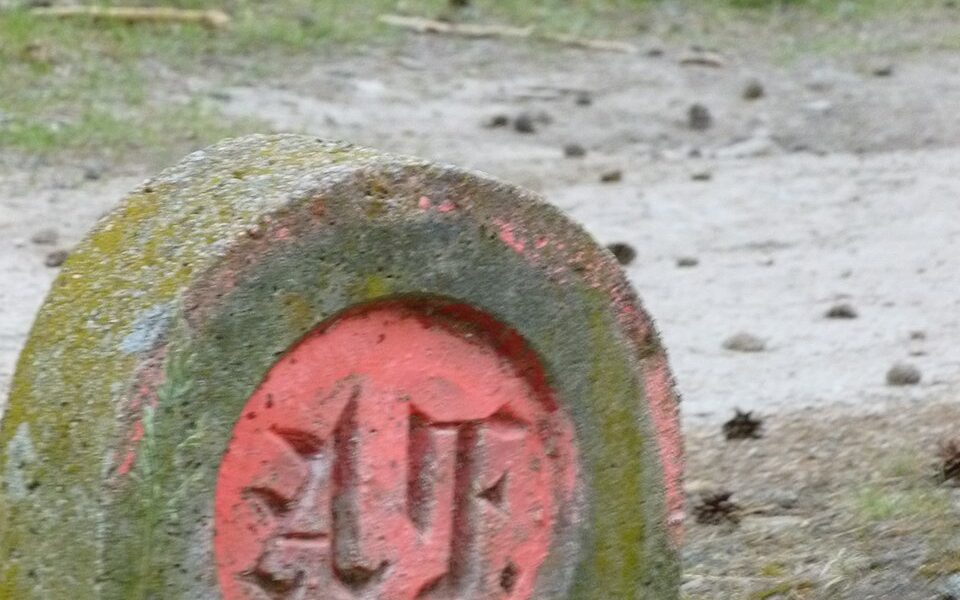 Arboretum Curie