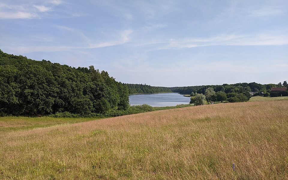 Bornsee