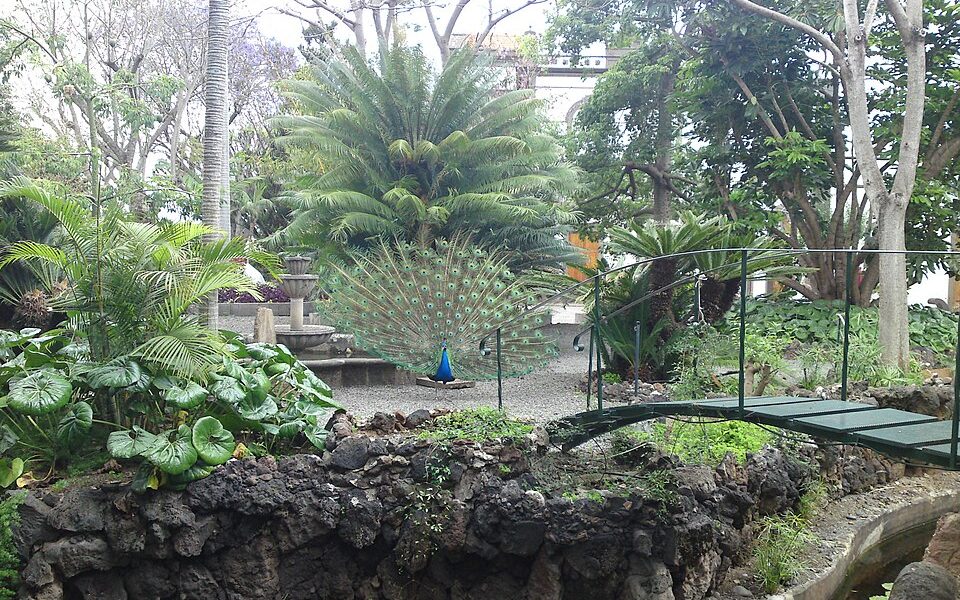 Jardin de la Marquesa de Arucas