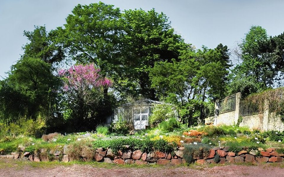 Botanical Garden of the University of Halle-Wittenberg