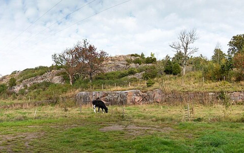 Broberg fortification