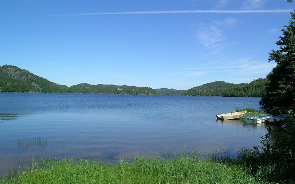 Hallevannet