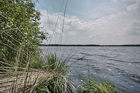 Photo: FRAWA2, CC BY-SA 3.0, Wikimedia Commons