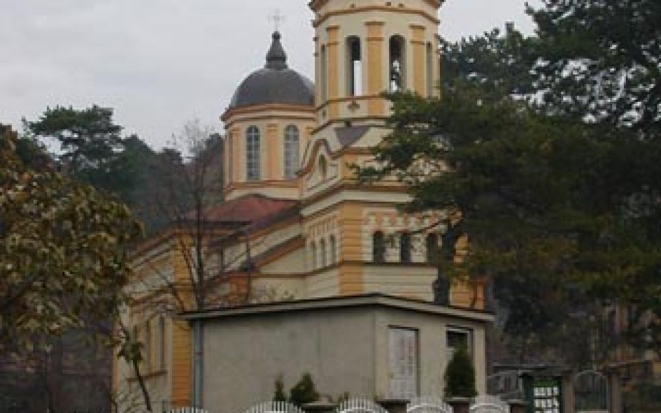 Holy Mother of God church, Dimitrovgrad