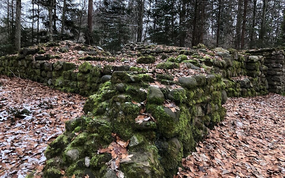 Burgruine Heitnau