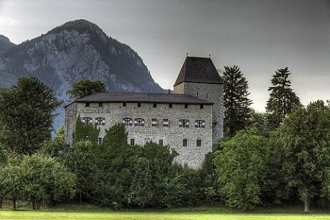Photo: DanielZanetti, CC BY 3.0, Wikimedia Commons