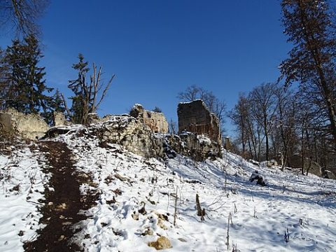 Photo: Liuthalas, CC BY-SA 4.0, Wikimedia Commons