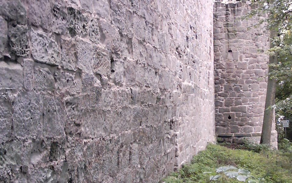 Burgruine