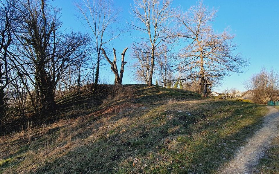 Burg Türkheim