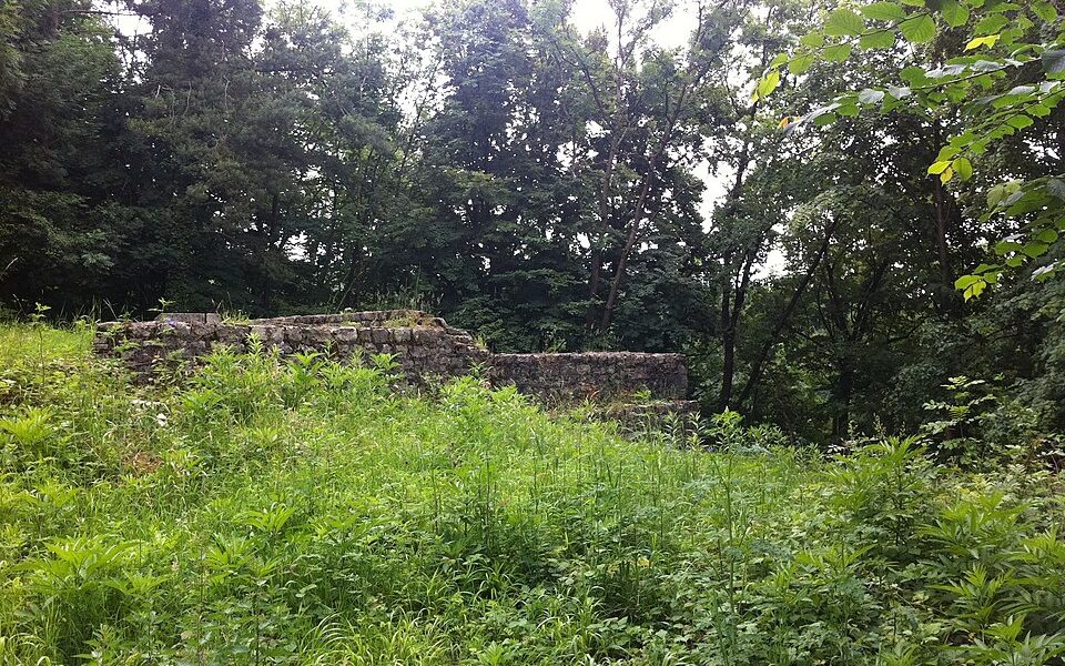 Burghalde, medieval refuge castle ruin