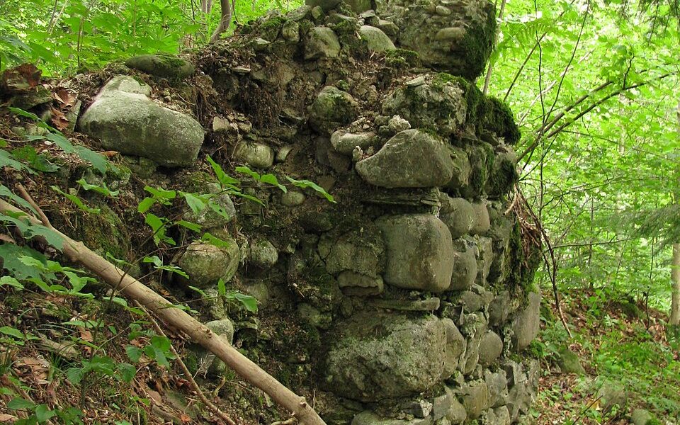 Burg Burgkranzegg