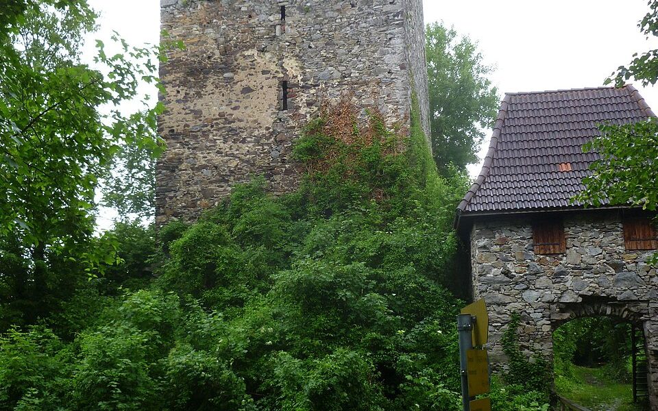 Burgruine Haichenbach