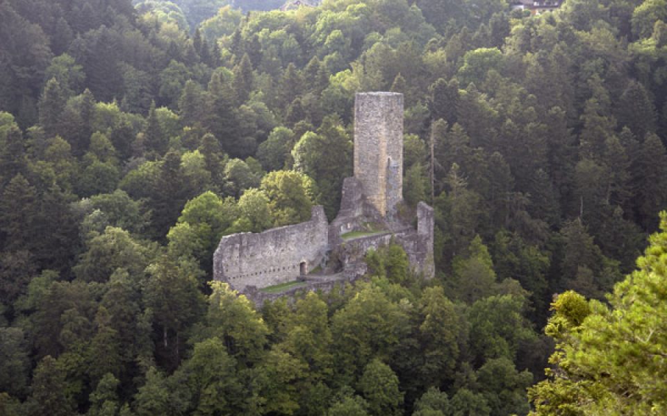 Burgruine Wieladingen