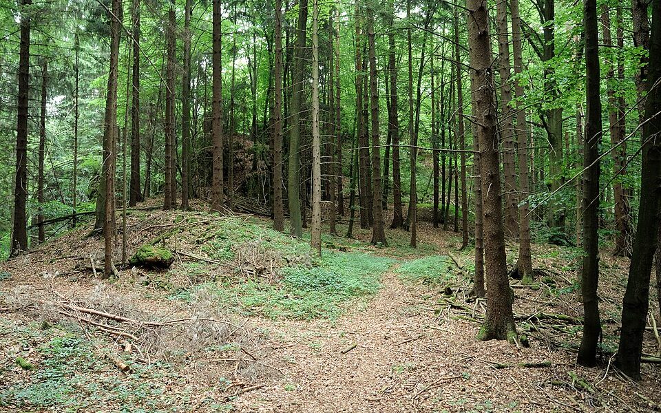 Burgstall Hagfelsen