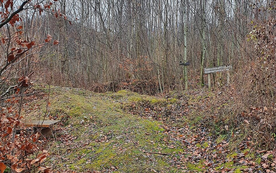 Burgstall Hohenstein (Staudach-Egerndach)